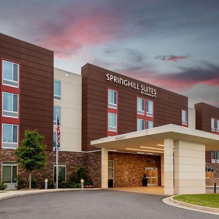 Springhill Suites Atlanta Alpharetta/Roswell Exterior photo